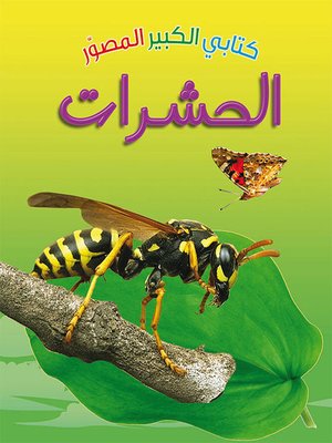 cover image of كتابي الكبير الصوّر: الحشرات